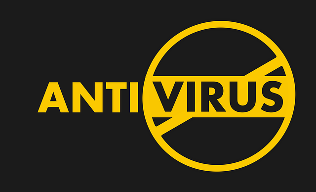 antivirus software
