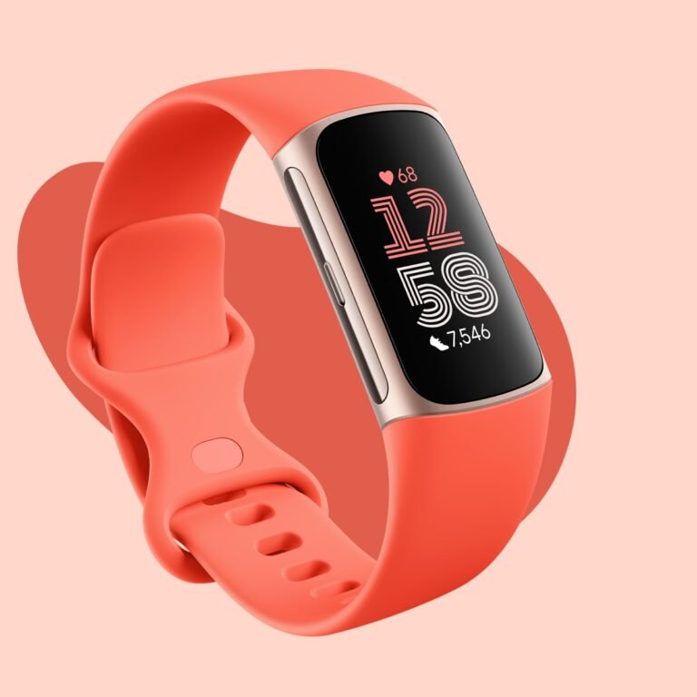 Google Fitbit Air